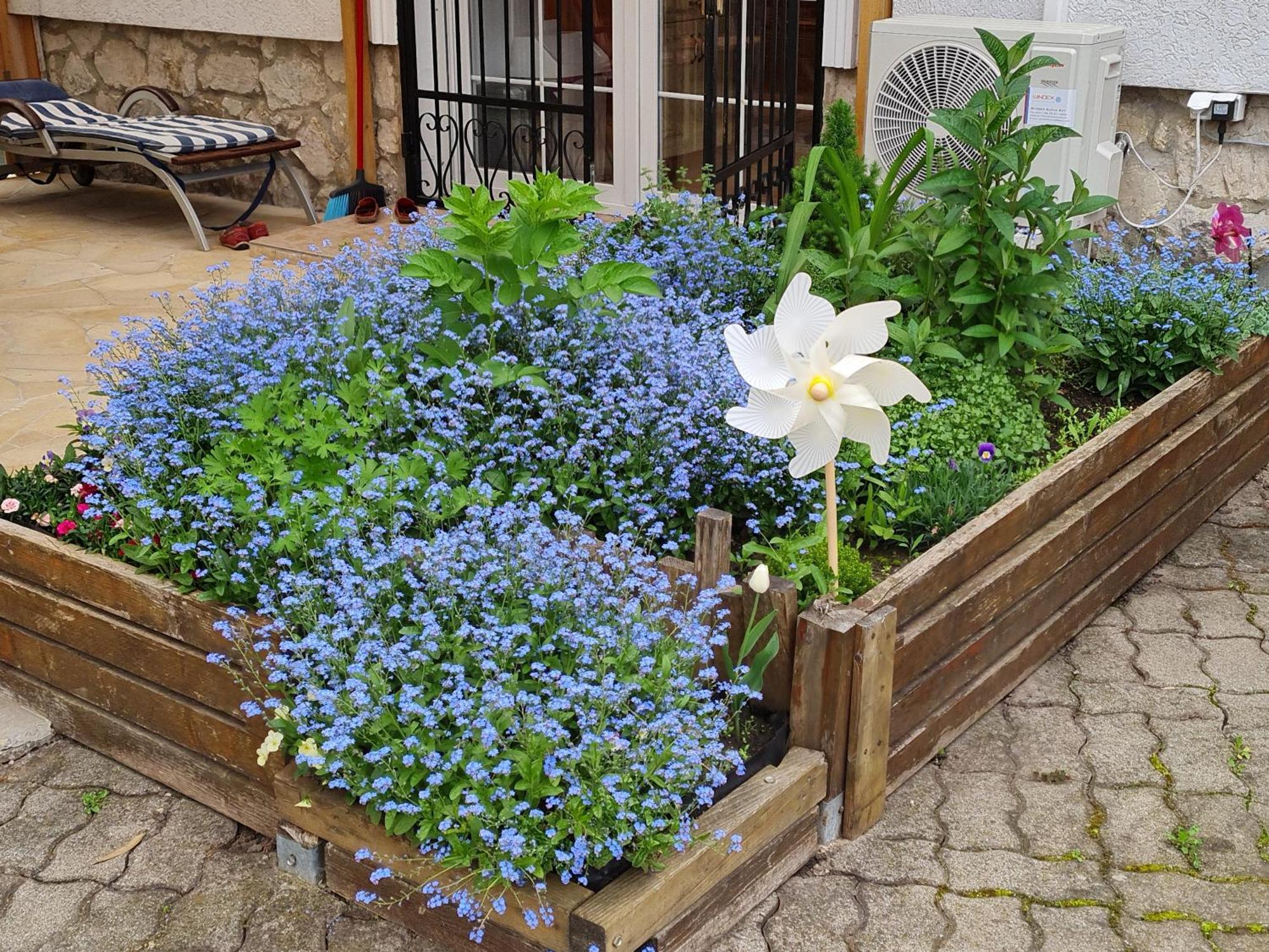 Ginger House Apartment Кестхей Екстер'єр фото